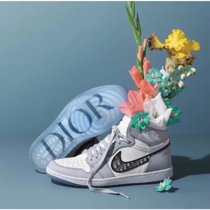 Air Jordan 1 High Dior Wolf Grey Sail