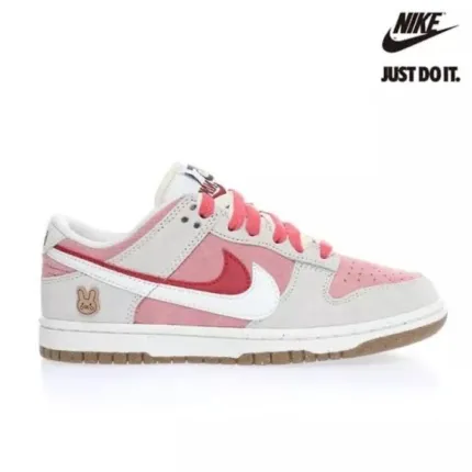 Nike Dunk Low ‘85’ DO9457 White Pink