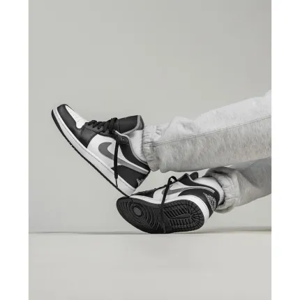 Nike Jordan Low Bred Toe Shadow