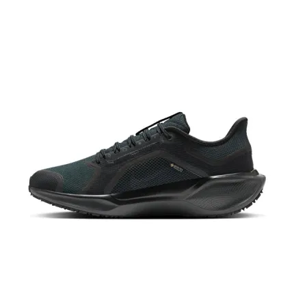 Nike Pegasus 41 GORE-TEX Su Geçirmez
