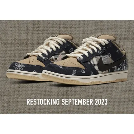Nike Dunk Travis Scott