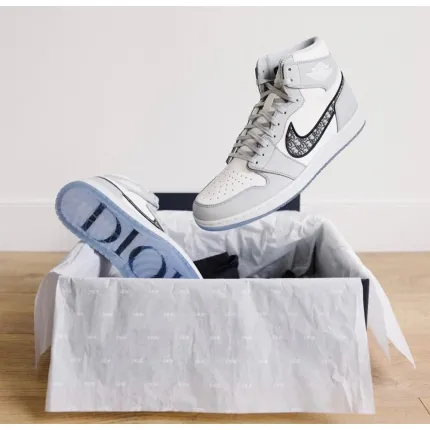 Air Jordan 1 High Dior Wolf Grey Sail