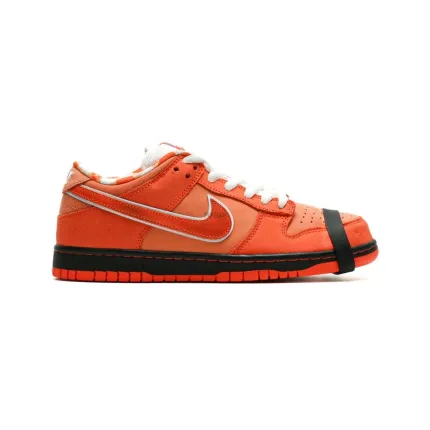 Nike Sb Dunk Low Consept