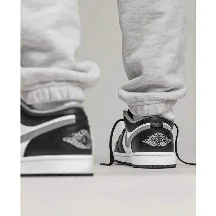 Nike Jordan Low Bred Toe Shadow